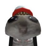 @fazejulio6