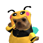 zzz
