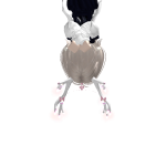 @Mad5v