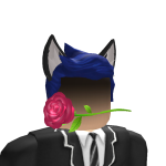 @ImADumbDev