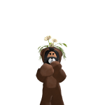 @kitten_X2O