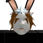 @ServerScriiptService