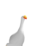 @BirdBallin
