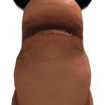 @yyy00po_roblox