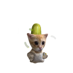 @Donovancoolboy123456