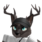 @caskket