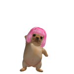 @kalespl4net