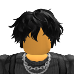Pioterex1