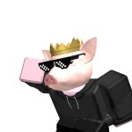 @weirdunknownpig