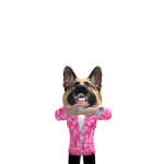 @Lookupziggy