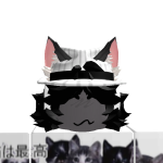 @void_nulll