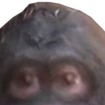 @egg10