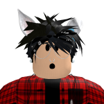 @the_robloxking1601