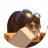 ellieflopper