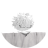 skiitzofrenicc