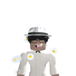 @Bloxkinrblx