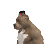 @frogmaa4