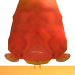 @woahigotban