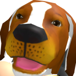 @OxerPlayz8