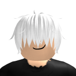 @roblox_user_678369305