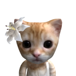 @nathalia1oooo