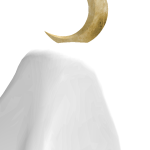 @Obama_kal
