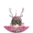 txnycharl