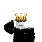 @AmirluzkoRobloxcool