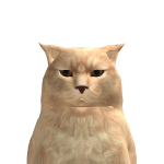 @c9ast