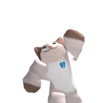 POPCAT