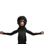 @HARSHLIBUBEN2