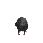@benjibonecrusher
