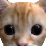 @finex463