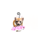 @BEENZ118