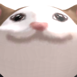 @coolestboyeveronerth