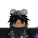 @koala_group1