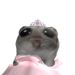 @Ducksrcute50