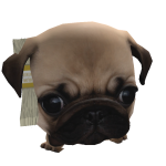 @Itzitally
