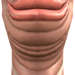 @UgLyScPTaTtOe
