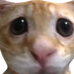 @Y0URFAV0RlTE
