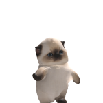 @chickitea
