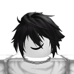 @roblox_user_2205505484