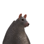 @leopomerrainan