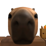 @FilipRoblox67