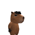@Qewsdhshdj