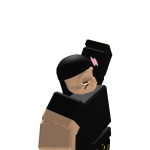 @robloxpro1234co