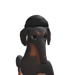@rodvincoolman