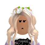 @roblox_lover529