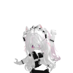 @noa23249