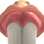 @WenderBeni